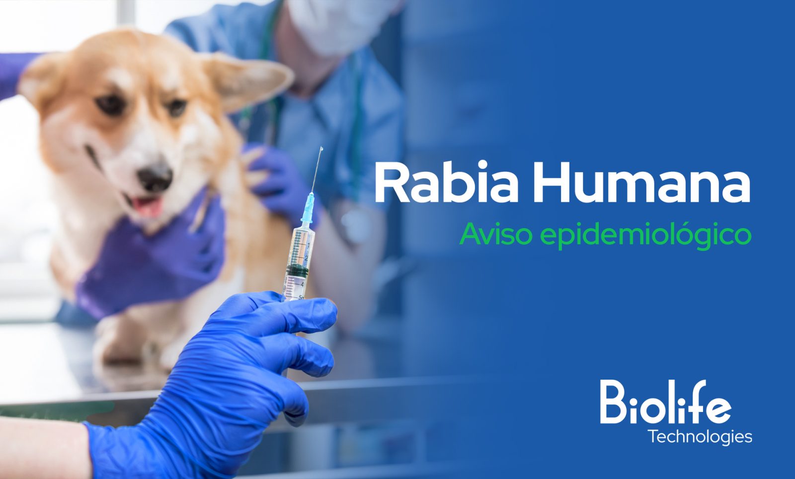 Rabia humana