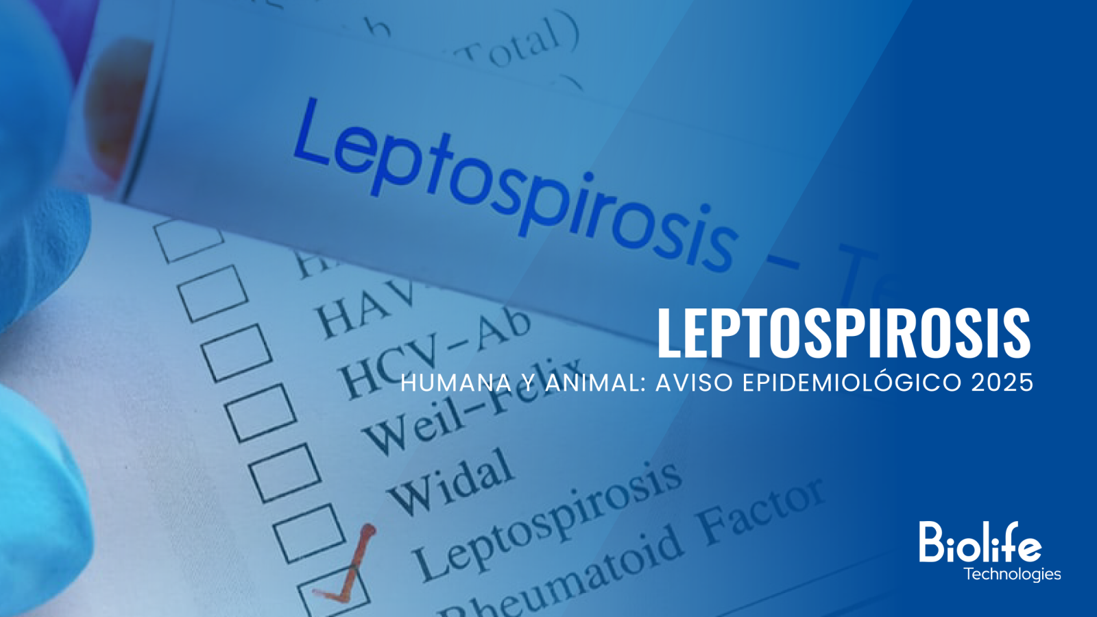Leptospirosis Humana y Animal: Aviso Epidemiológico 2025