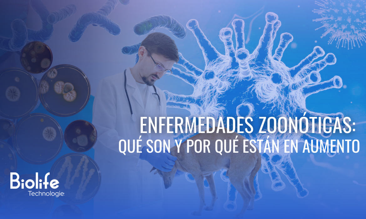 Enfermedades Zoonóticas: qué son y por qué están en aumento