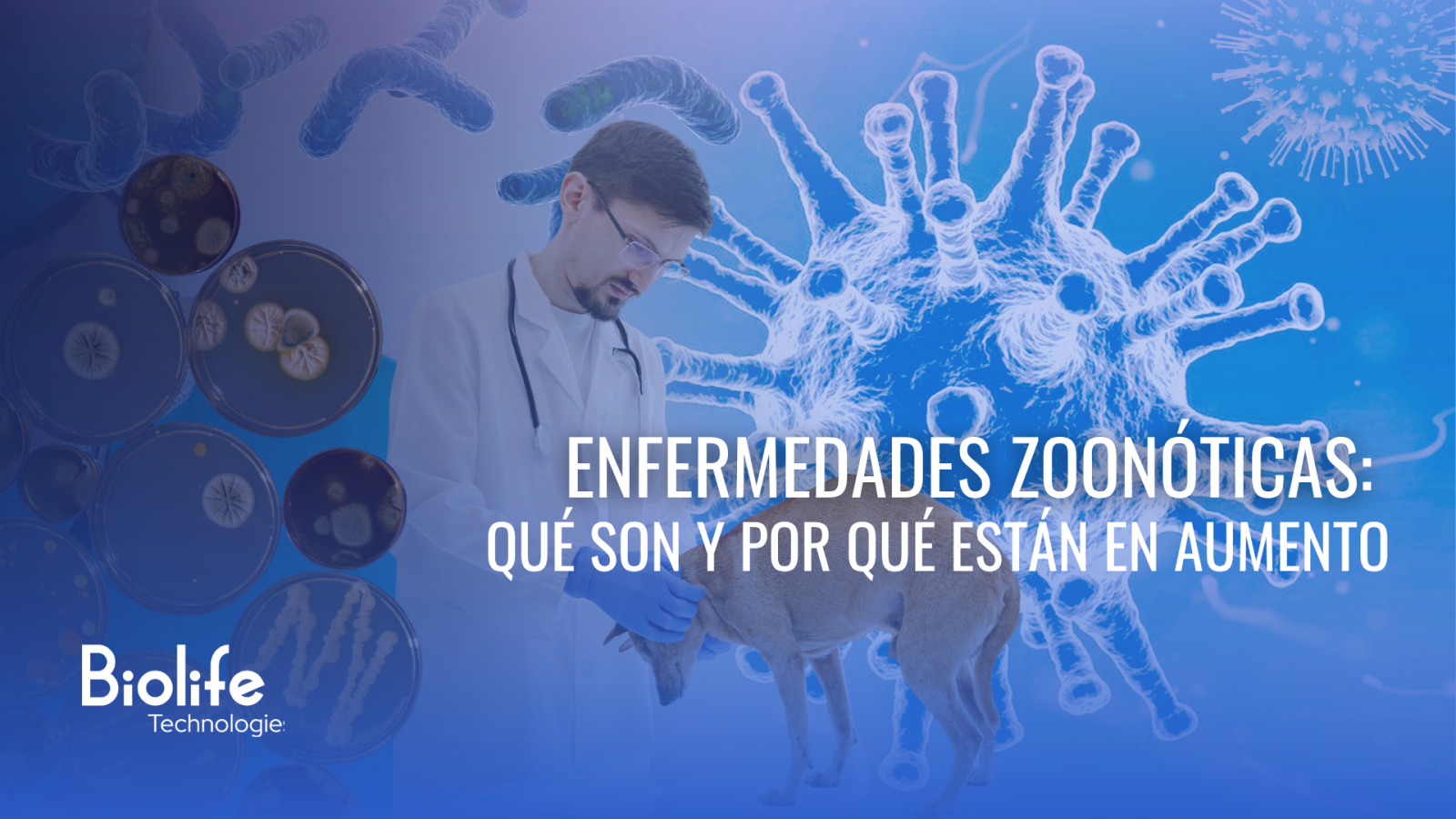Enfermedades Zoonóticas: qué son y por qué están en aumento