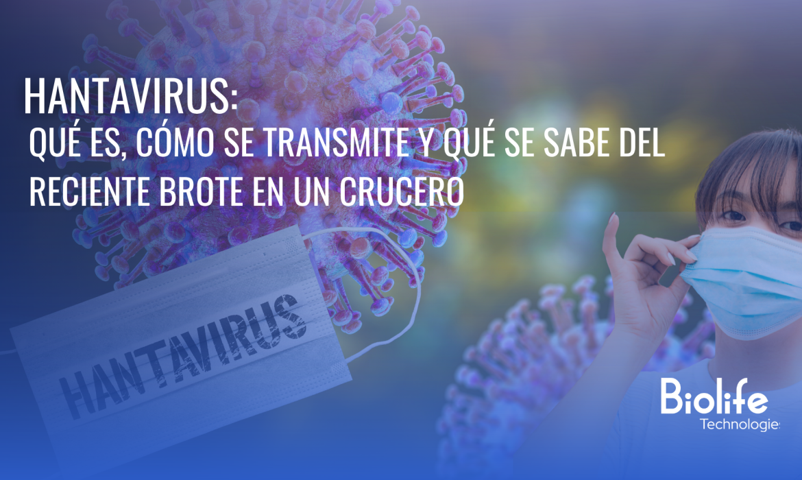Hantavirus: qué es, cómo se transmite y qué se sabe del reciente brote en un crucero