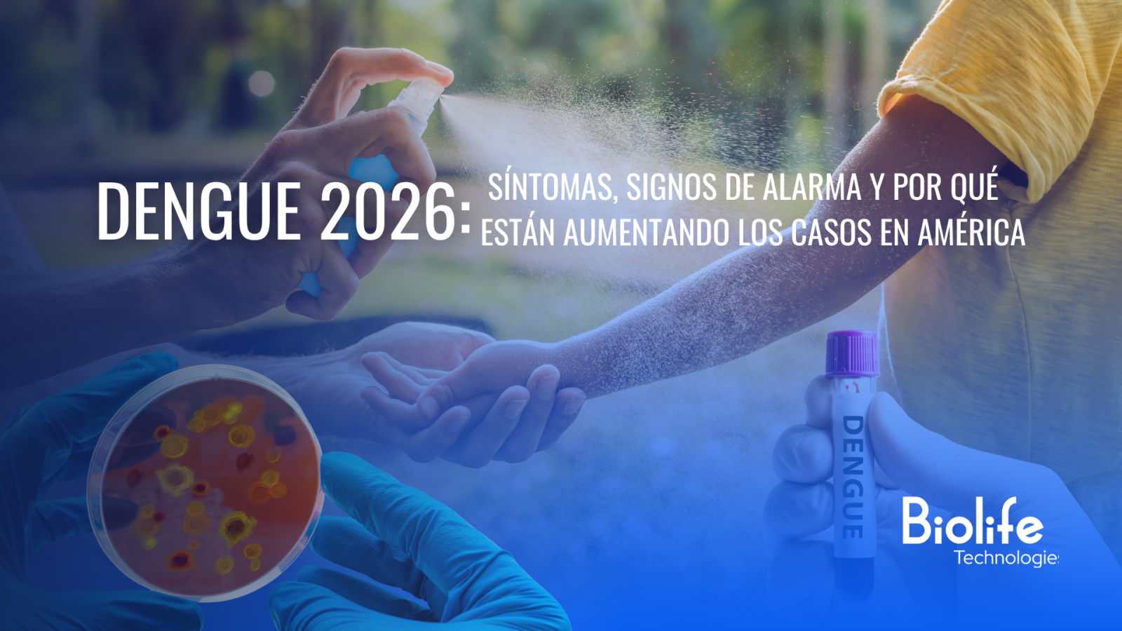 Dengue 2026: síntomas, signos de alarma y por qué están aumentando los casos en América